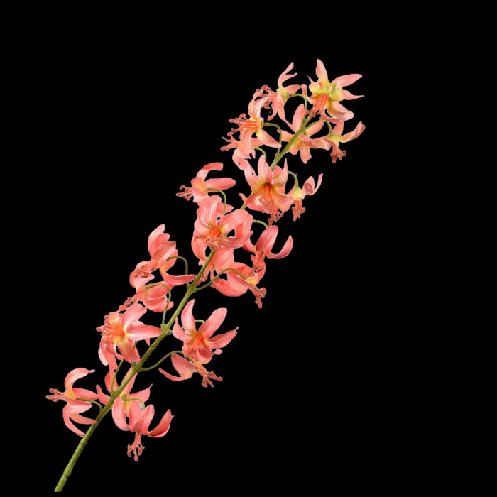 2310b151-456a-4bff-b95d-5b37ef4dc079-vrijstaandbeeld.jpg (5790281) 