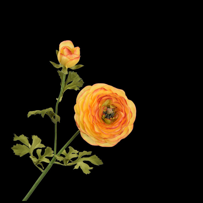 5a6fae9b-b43f-43e0-a4ad-3f624fcdd23a-vrijstaandbeeld.jpg (5790346) 