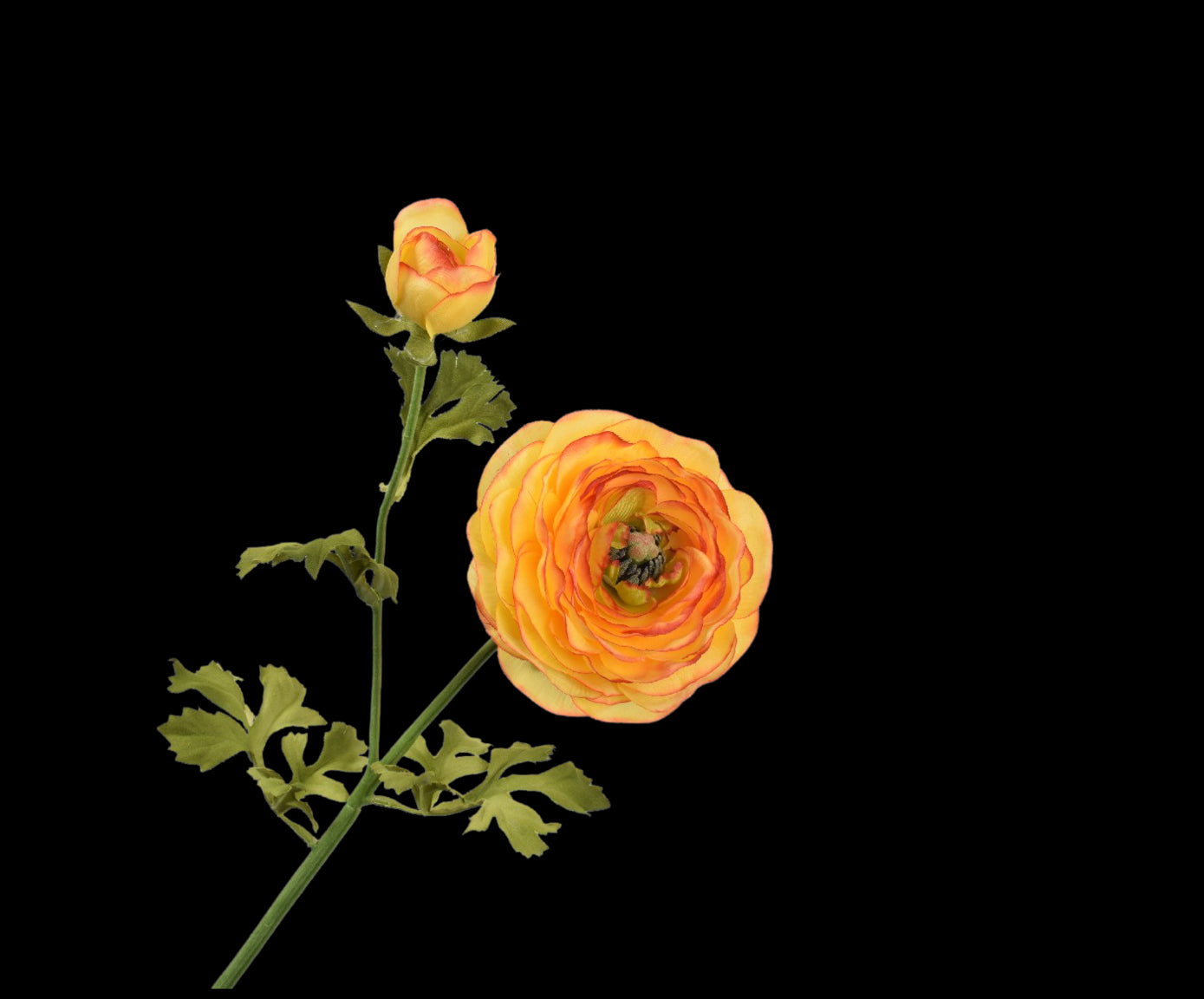 5a6fae9b-b43f-43e0-a4ad-3f624fcdd23a-vrijstaandbeeld.jpg (5790346) 