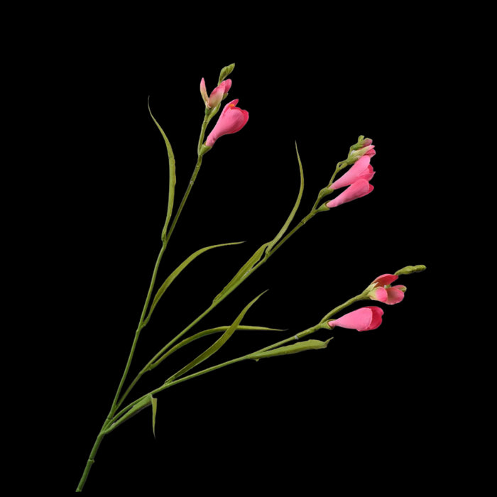 7d8f87d8-7a44-4ee3-ad52-6a9263f2ea81-vrijstaandbeeld.jpg (5790432) 