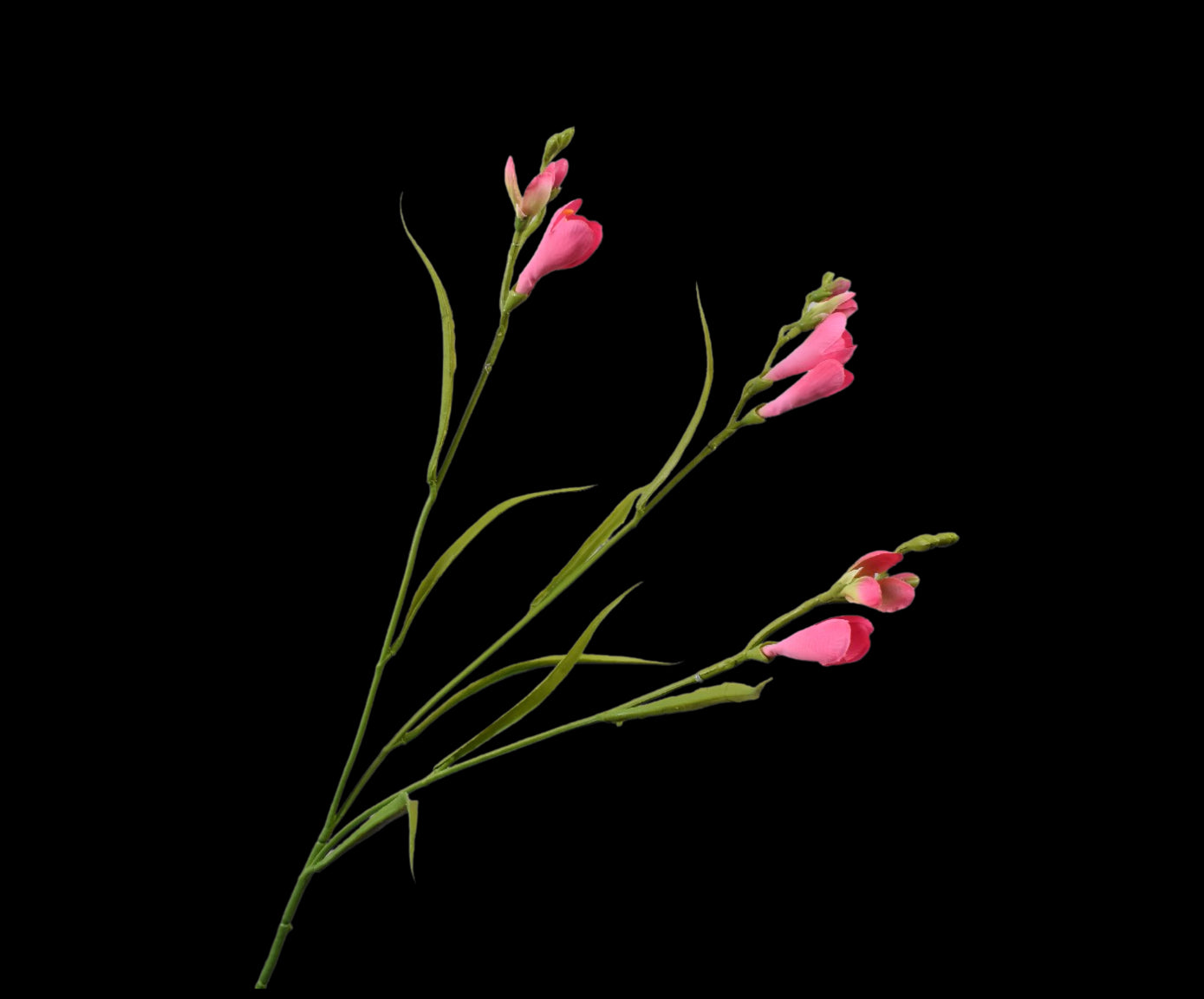 7d8f87d8-7a44-4ee3-ad52-6a9263f2ea81-vrijstaandbeeld.jpg (5790432) 