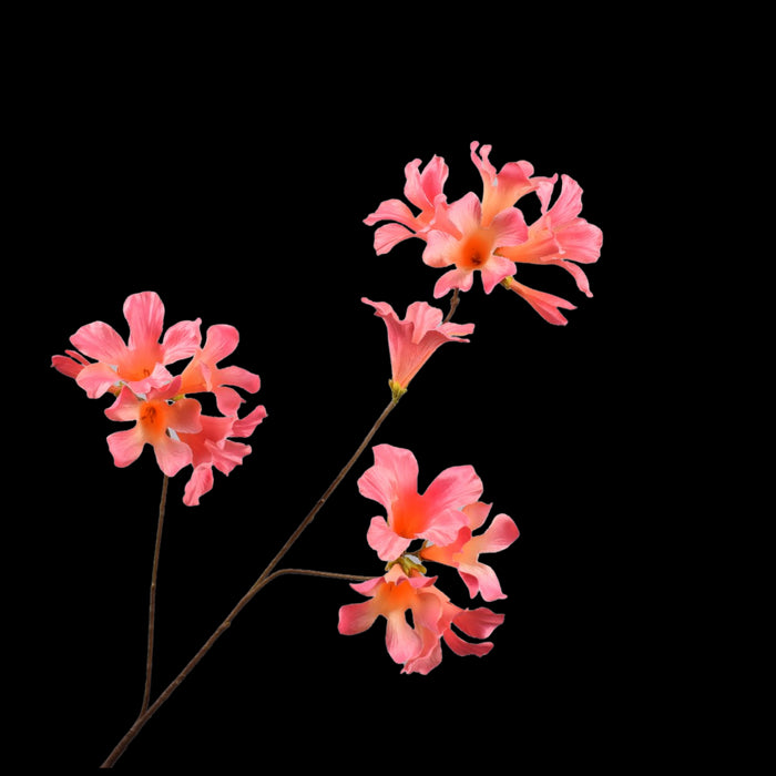 7e0b6538-ba8a-4e28-bc14-a51030aca455-vrijstaandbeeld.jpg (5790444) 