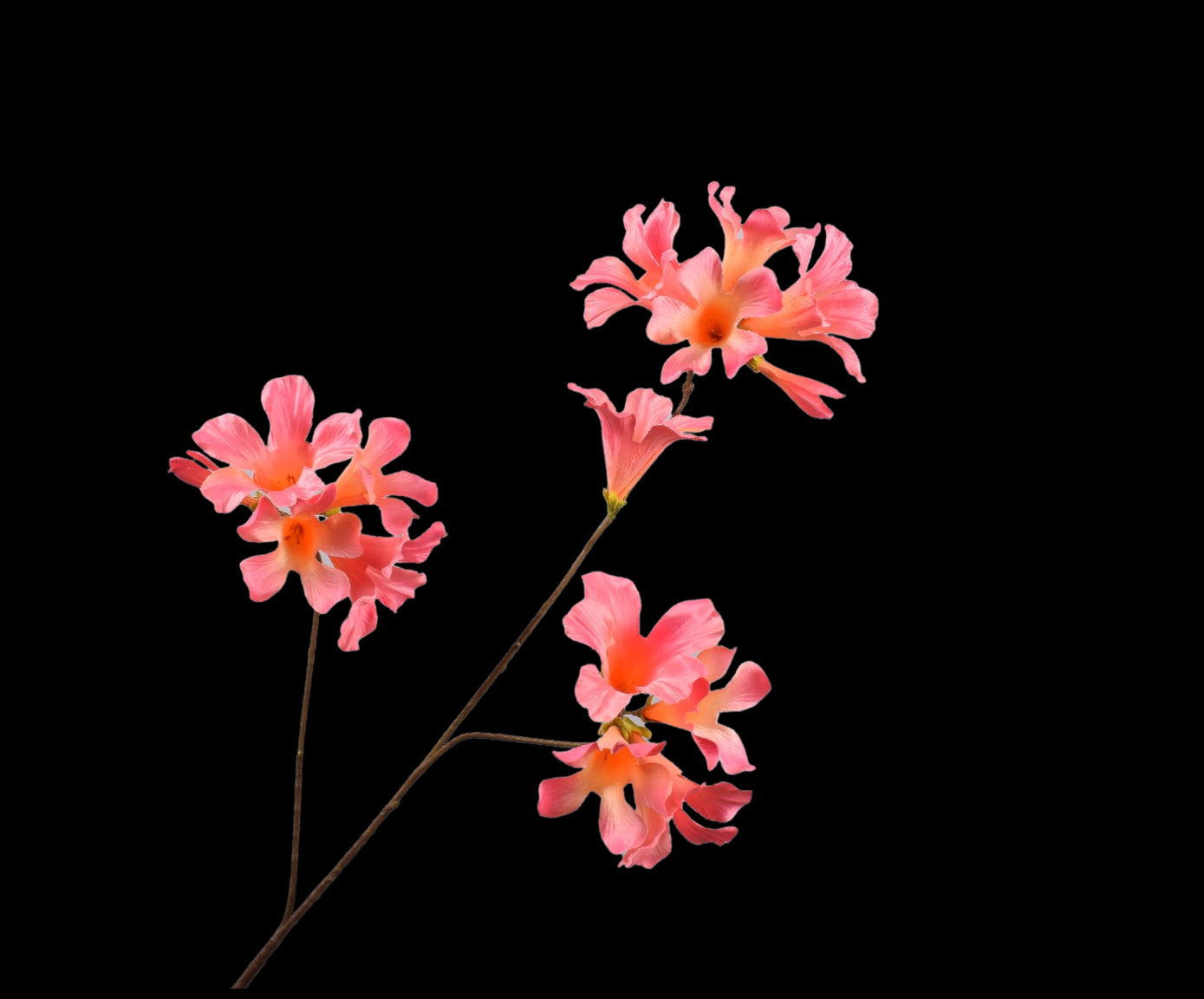 7e0b6538-ba8a-4e28-bc14-a51030aca455-vrijstaandbeeld.jpg (5790444) 