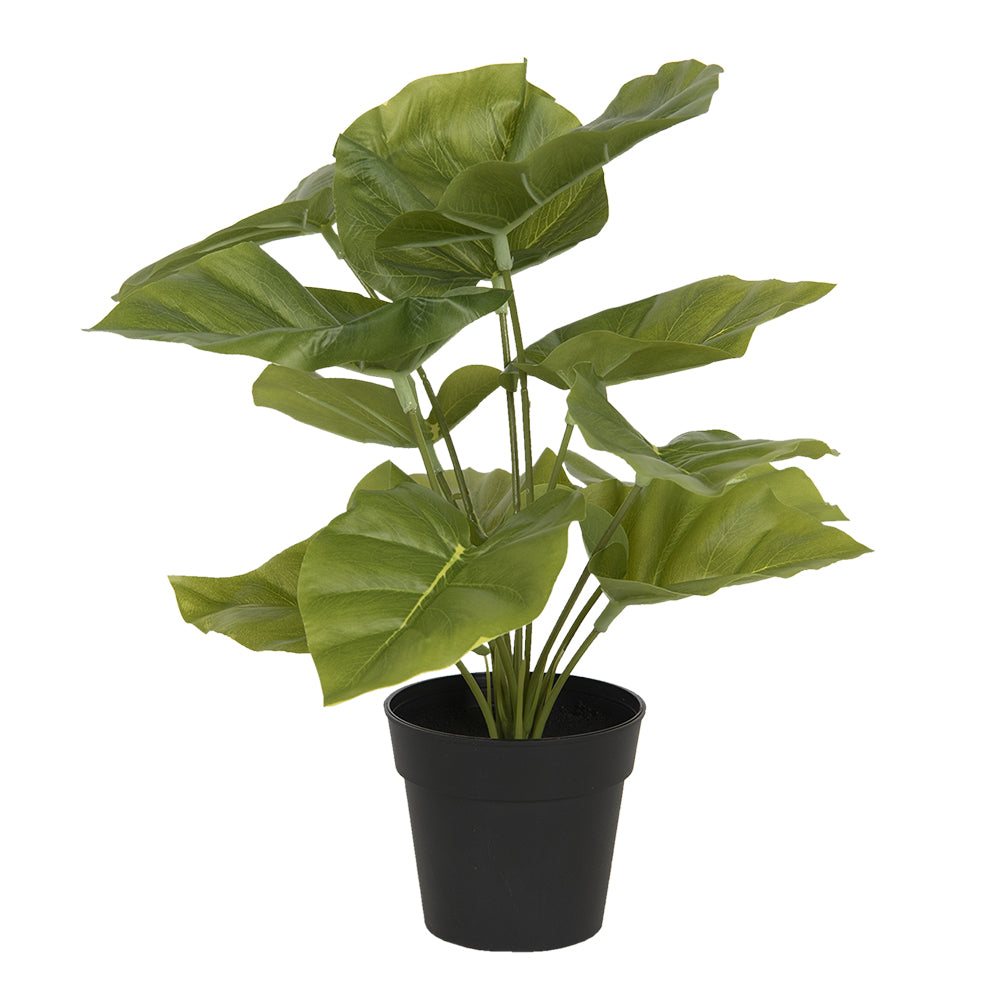 Clayre & Eef Kunstbloem 34 cm Groen Kunststof Foam Rond Kunstplant