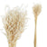 PTMD Gedroogde Bladeren Avena Grasstruik - 45 x 12 x 75 cm - Wit