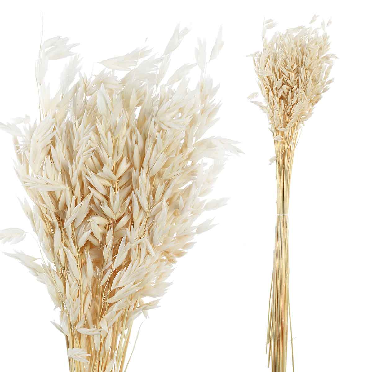 PTMD Gedroogde Bladeren Avena Grasstruik - 45 x 12 x 75 cm - Wit