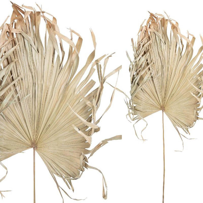 PTMD Dried Twig Palm Kunstblad - 100 x 100 x 120 cm - Bruin
