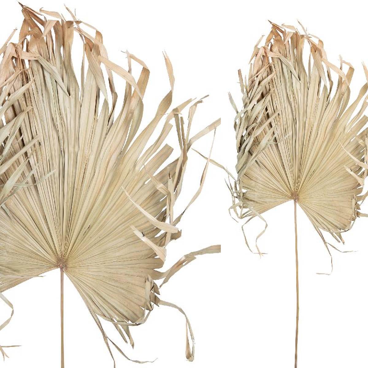 PTMD Dried Twig Palm Kunstblad - 100 x 100 x 120 cm - Bruin