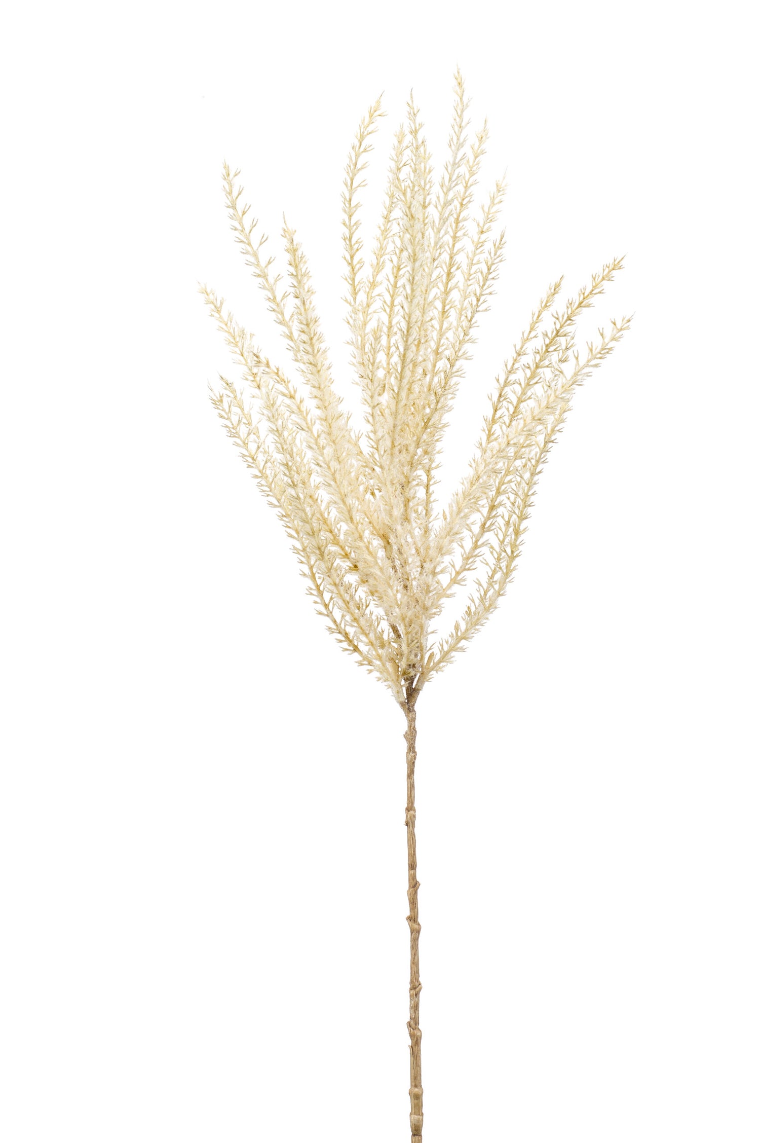 Cozy Ibiza - Kunsttak graspluim 2 stuks