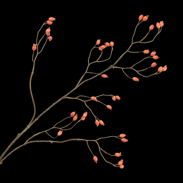 5e160f79-c058-4a94-86b6-bb764331ac8b-vrijstaandbeeld.jpg (5792756) 