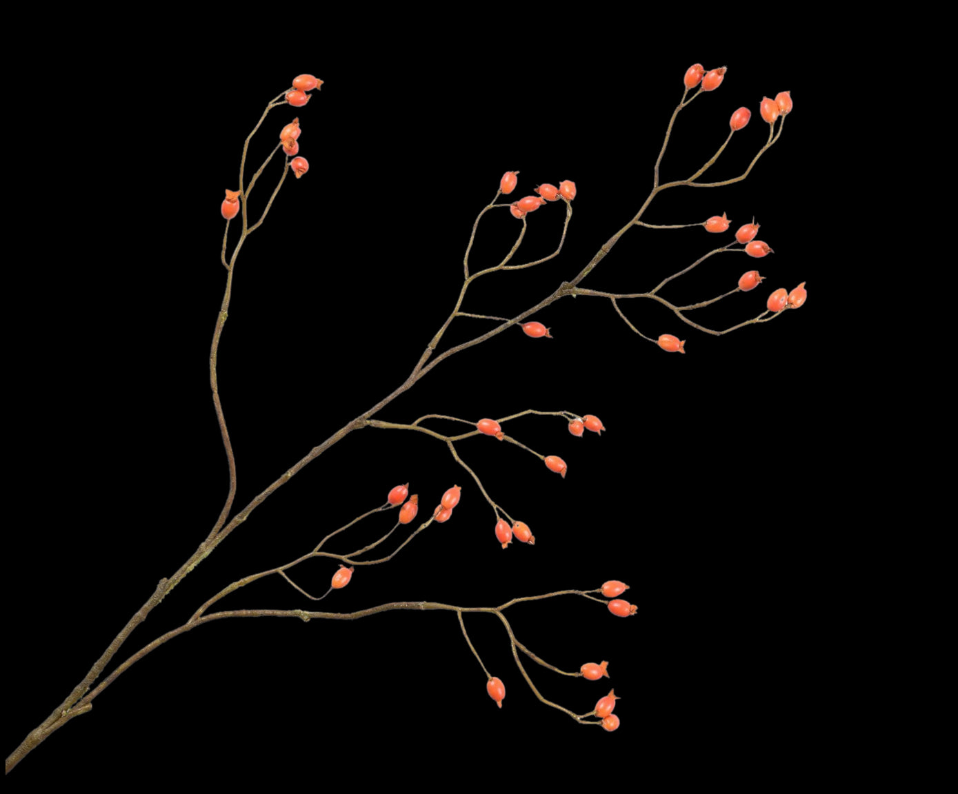 5e160f79-c058-4a94-86b6-bb764331ac8b-vrijstaandbeeld.jpg (5792756) 