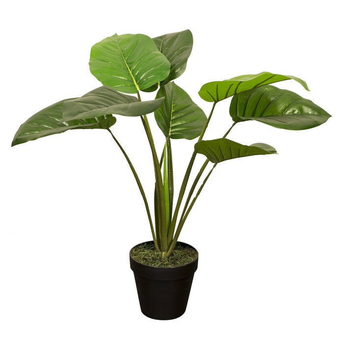 b130a192-b75b-4934-9286-96bd82b87bb5-vrijstaandbeeld.jpg (5794266) 