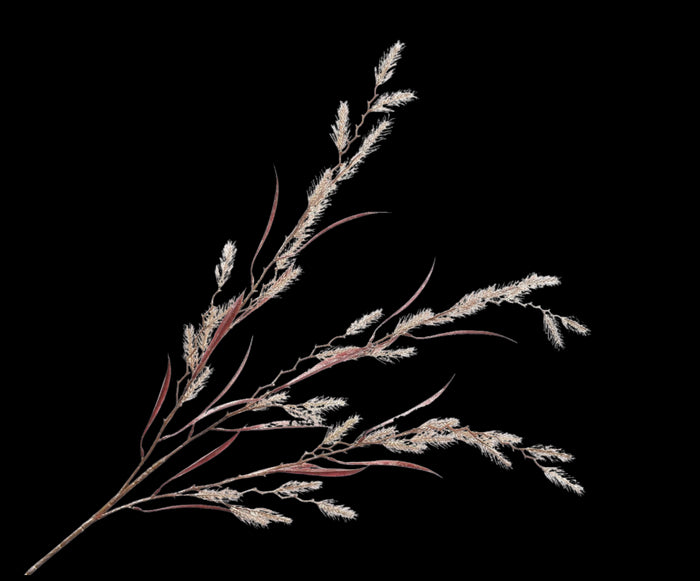 66cefac9-f23e-4016-8642-273ed0302dde-vrijstaandbeeld.jpg (5796776) 