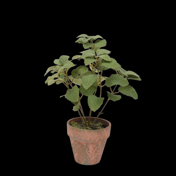 183aec4f-ba09-440c-94e8-f7fab6ec1a16-vrijstaandbeeld.jpg (5796810) 