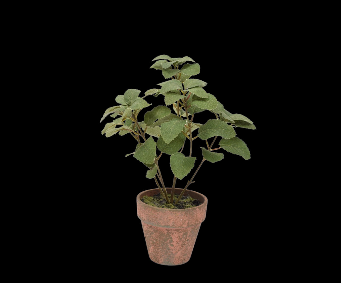 183aec4f-ba09-440c-94e8-f7fab6ec1a16-vrijstaandbeeld.jpg (5796810) 