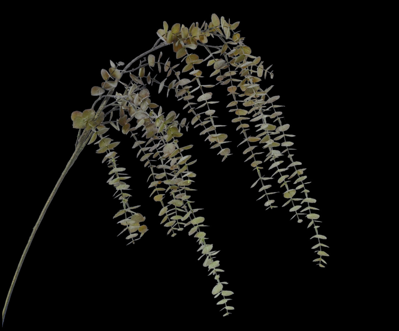 c6eb4382-8a70-411c-a6ff-9a3ec071a2b5-vrijstaandbeeld.jpg (5797039) 