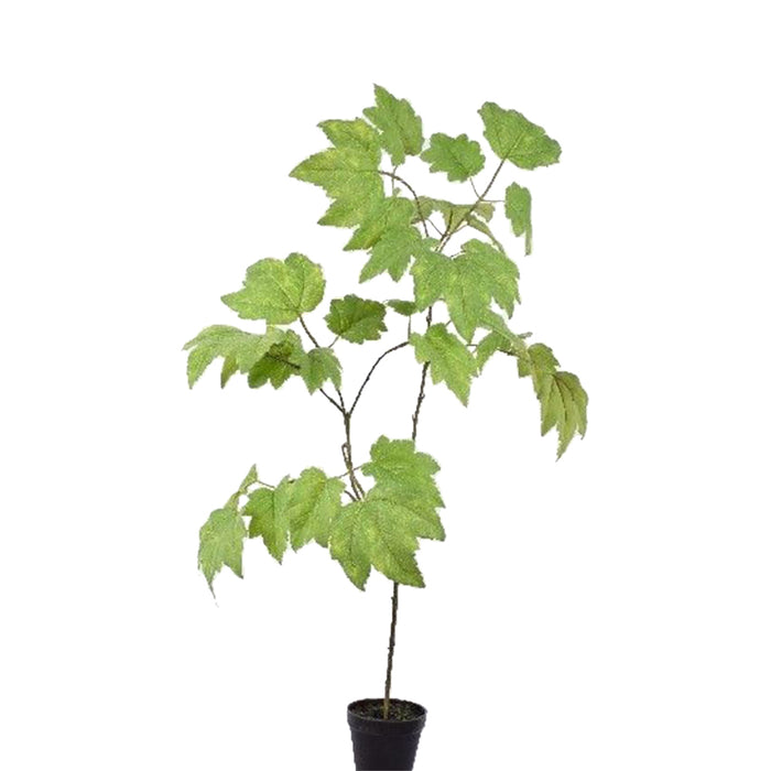 dc3db0f3-d9ee-4eec-b2aa-c938701b240b-vrijstaandbeeld.jpg (5797403) 