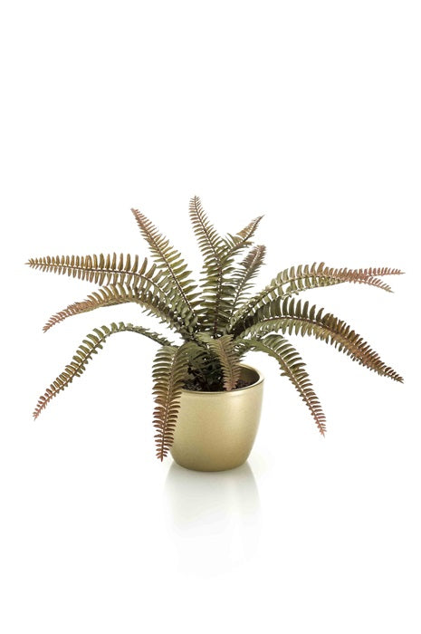 3e26052f-1ab0-4fde-9f30-28fa412dfb61-vrijstaandbeeld.jpg (5798315) 