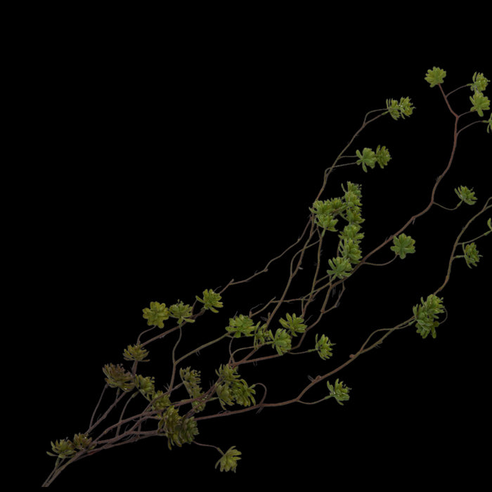 410d4aeb-e6f3-46be-a73a-e4ffa9ef6772-vrijstaandbeeld.jpg (5800716) 