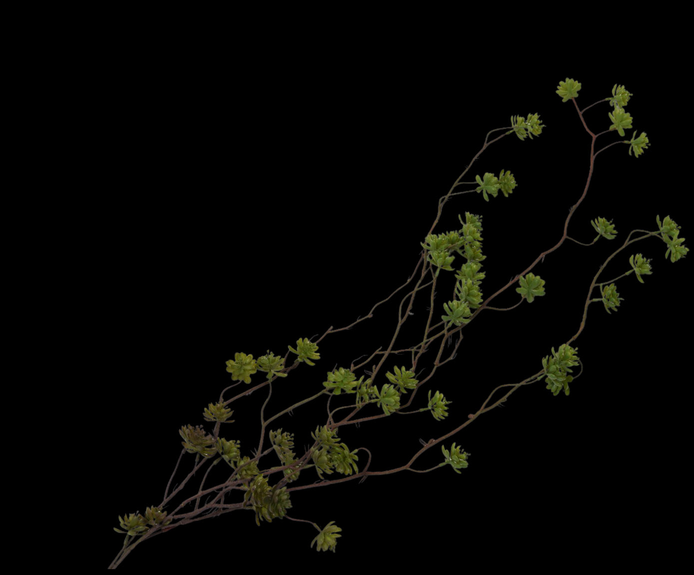 410d4aeb-e6f3-46be-a73a-e4ffa9ef6772-vrijstaandbeeld.jpg (5800716) 