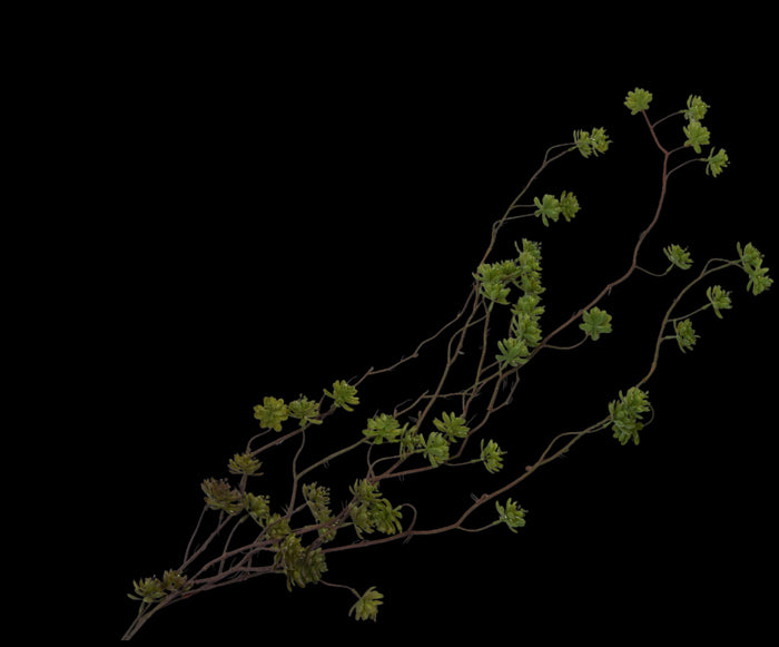 410d4aeb-e6f3-46be-a73a-e4ffa9ef6772-vrijstaandbeeld.jpg (5800716) 