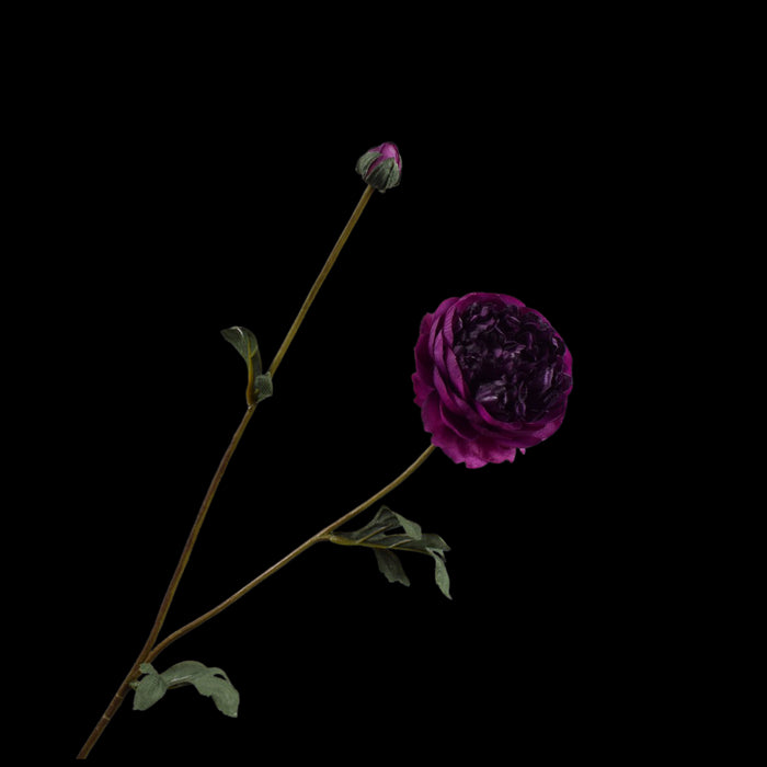 02ac1cd6-9535-497e-a777-62bf93073956-vrijstaandbeeld.jpg (5801318) 