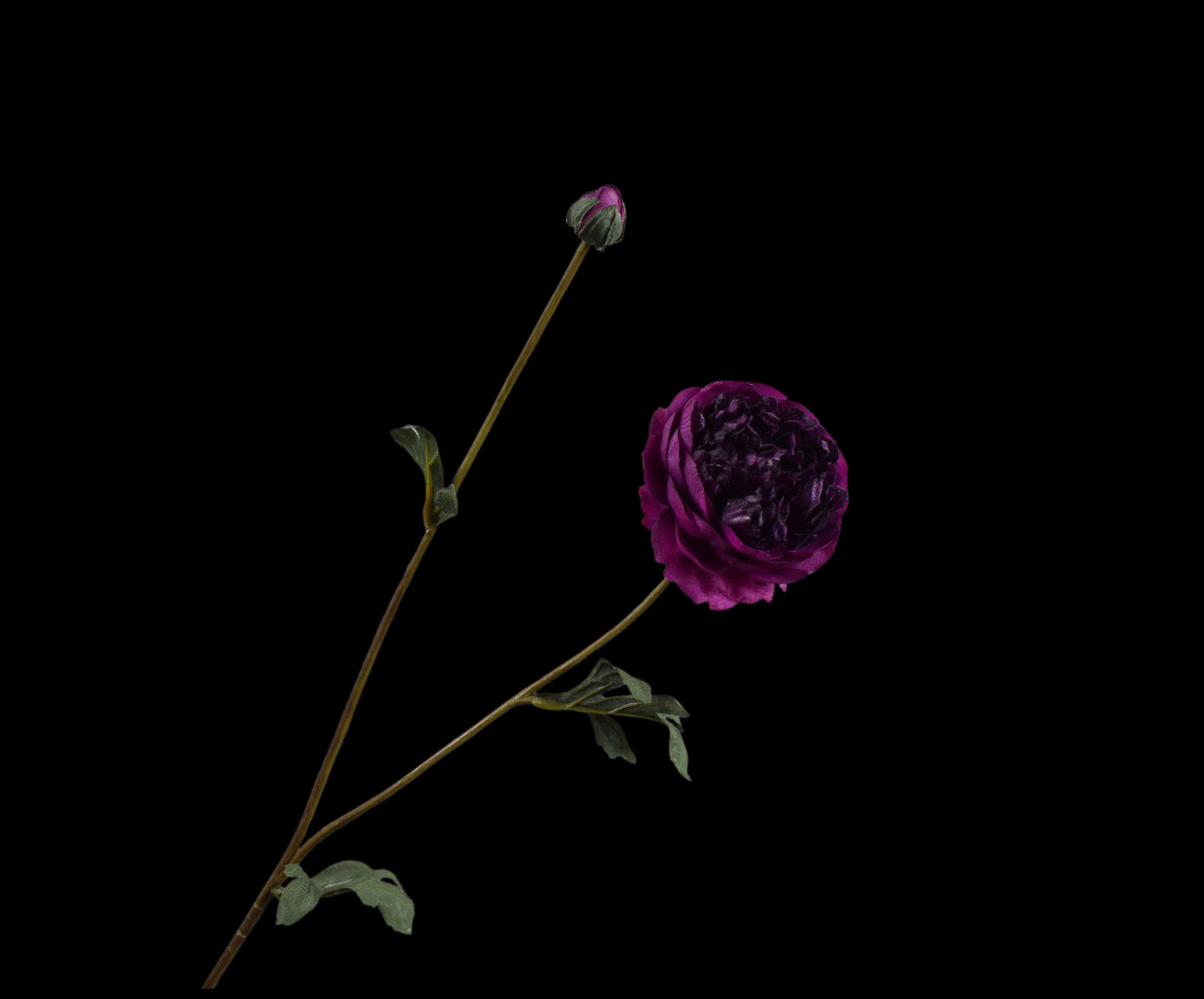 02ac1cd6-9535-497e-a777-62bf93073956-vrijstaandbeeld.jpg (5801318) 