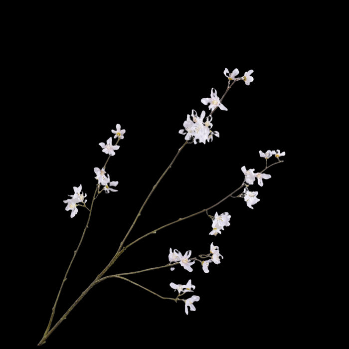 e5e06657-a673-4098-bea4-e0a7644aad52-vrijstaandbeeld.jpg (5801369) 