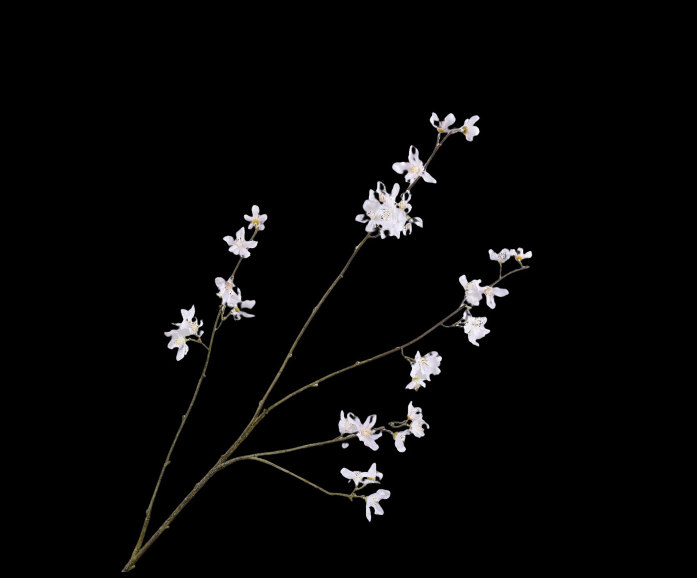 e5e06657-a673-4098-bea4-e0a7644aad52-vrijstaandbeeld.jpg (5801369) 