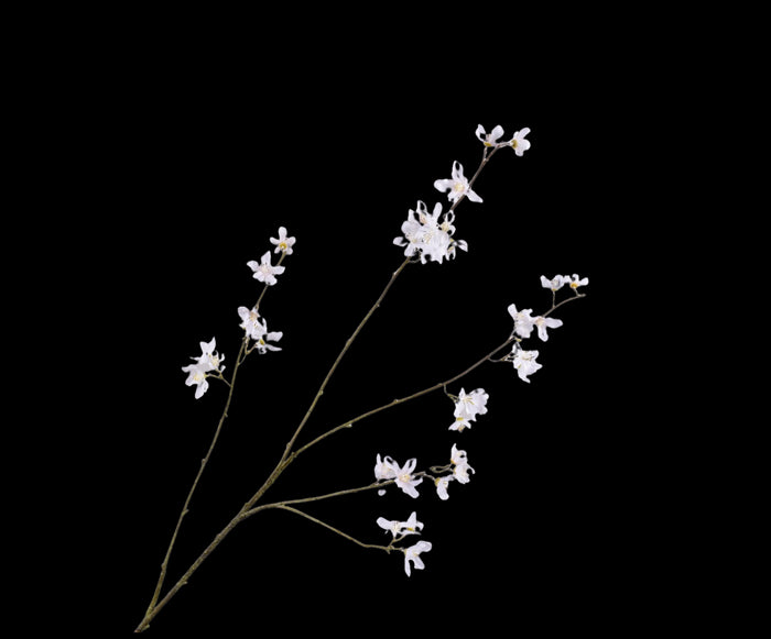 e5e06657-a673-4098-bea4-e0a7644aad52-vrijstaandbeeld.jpg (5801369) 