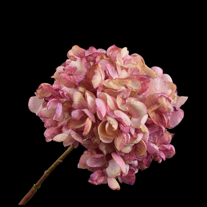 8b043f48-28d6-4209-b59a-3a07d25b3f1a-vrijstaandbeeld.jpg (5801827) 