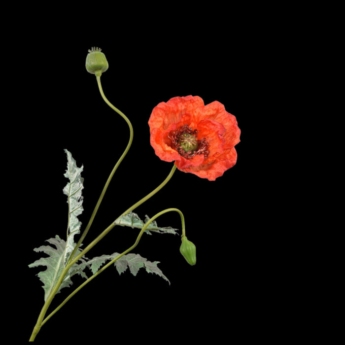 4bda0ea6-9dac-43f4-aaa3-8dd38d9c08ea-vrijstaandbeeld.jpg (5801901) 