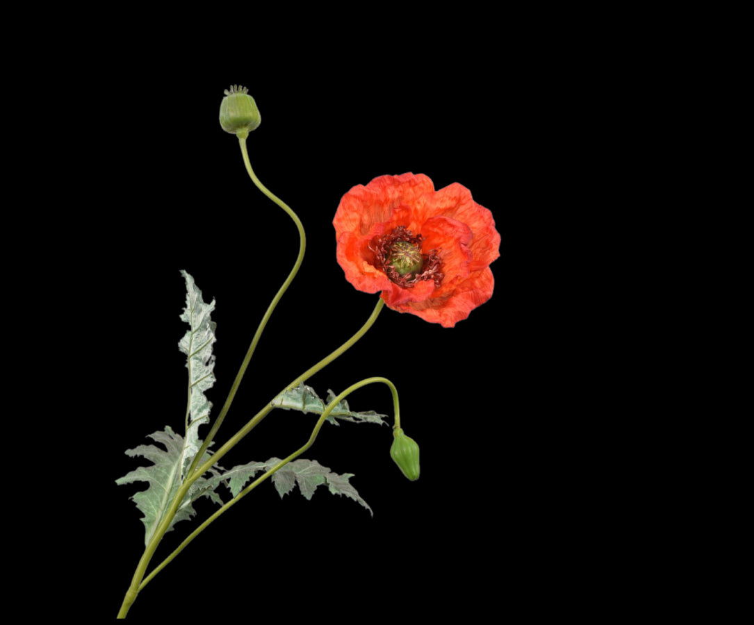 4bda0ea6-9dac-43f4-aaa3-8dd38d9c08ea-vrijstaandbeeld.jpg (5801901) 