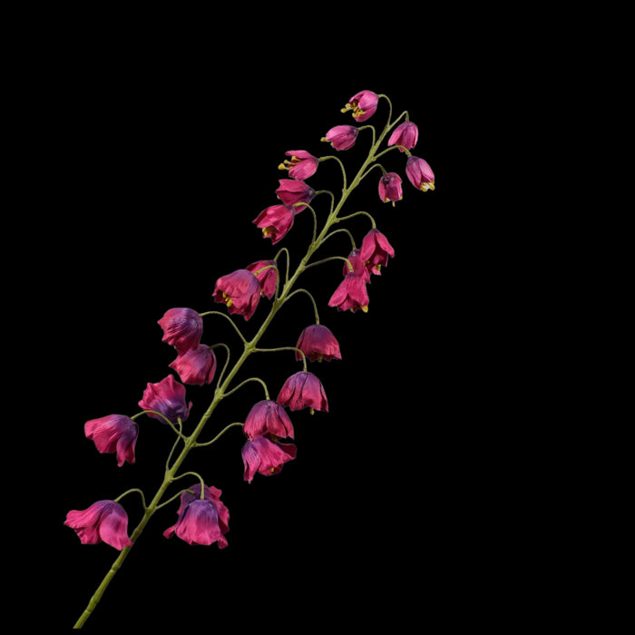 b97b1d3c-d3ff-4ff5-ac90-09146d2cc0b6-vrijstaandbeeld.jpg (5801971) 