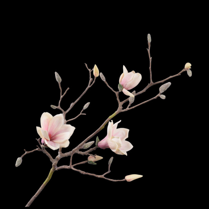 bae0c7df-2e16-4ed0-b2d0-c622ce532f22-vrijstaandbeeld.jpg (5801977) 