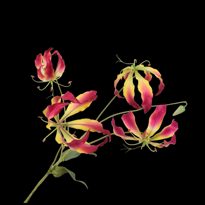 ba34d386-f0bf-4811-a30a-e4e714e6cb92-vrijstaandbeeld.jpg (5802004) 