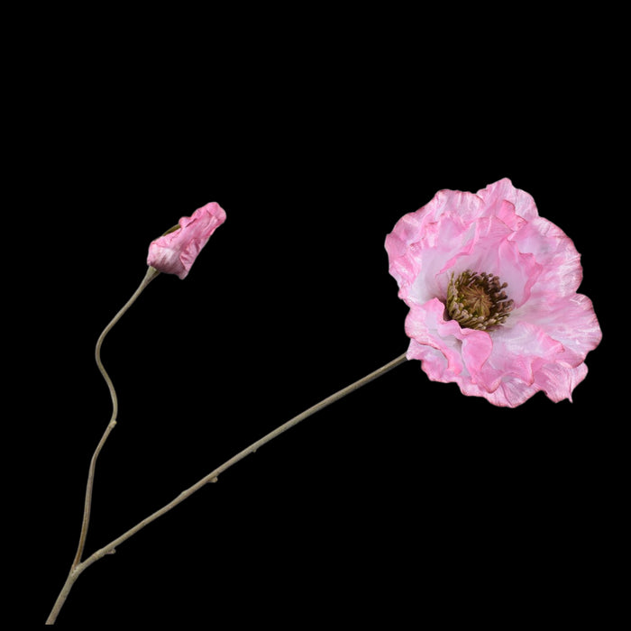 4188278f-d5d7-4cdb-9262-afce1673d9d2-vrijstaandbeeld.jpg (5802008) 