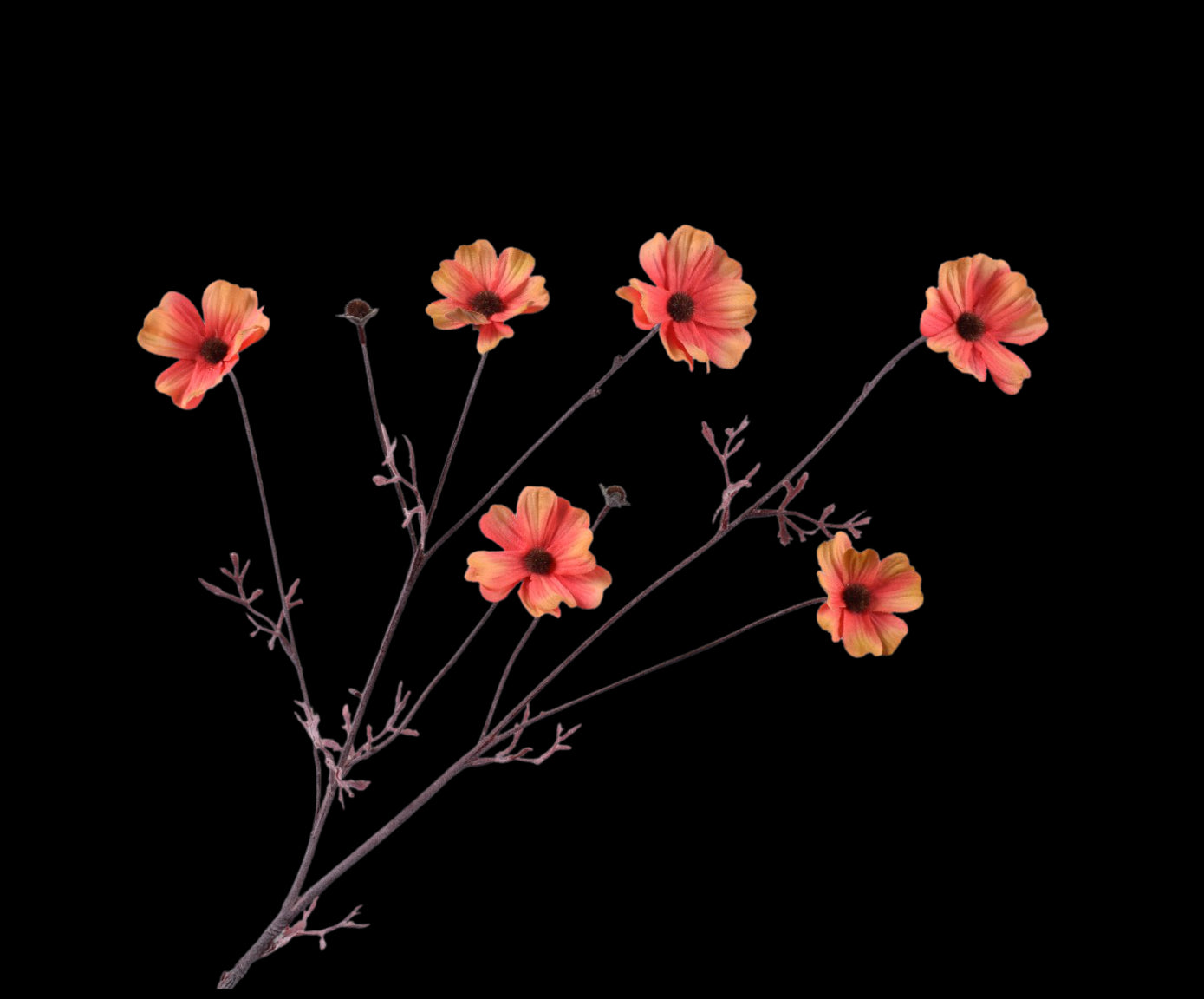 3741bffb-0ac7-4335-8821-1d34d760dd98-vrijstaandbeeld.jpg (5802116) 