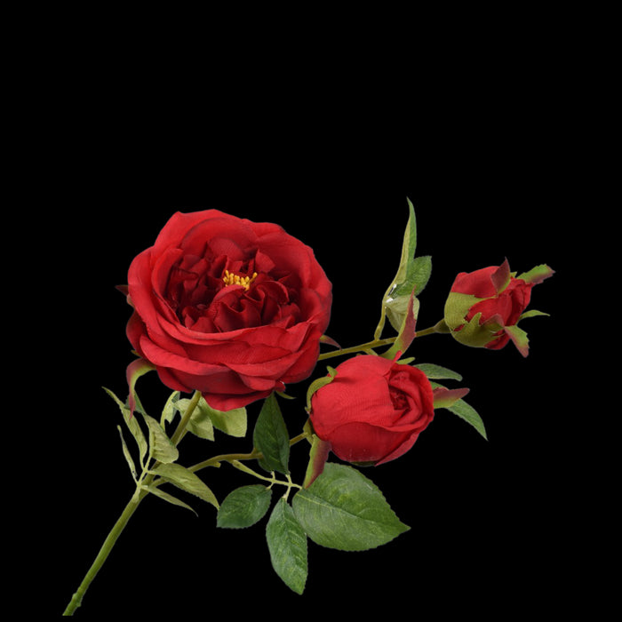 bbb3f6c4-3e68-4ccd-b801-75407d6e71ac-vrijstaandbeeld.jpg (5802295) 