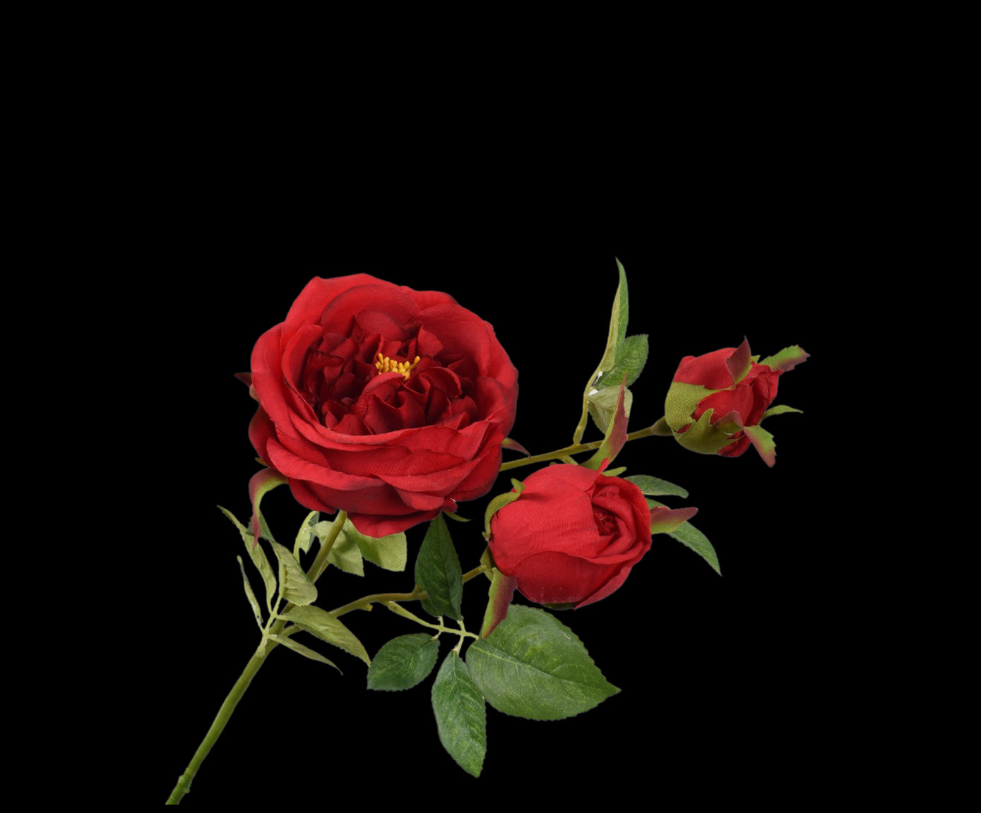 bbb3f6c4-3e68-4ccd-b801-75407d6e71ac-vrijstaandbeeld.jpg (5802295) 