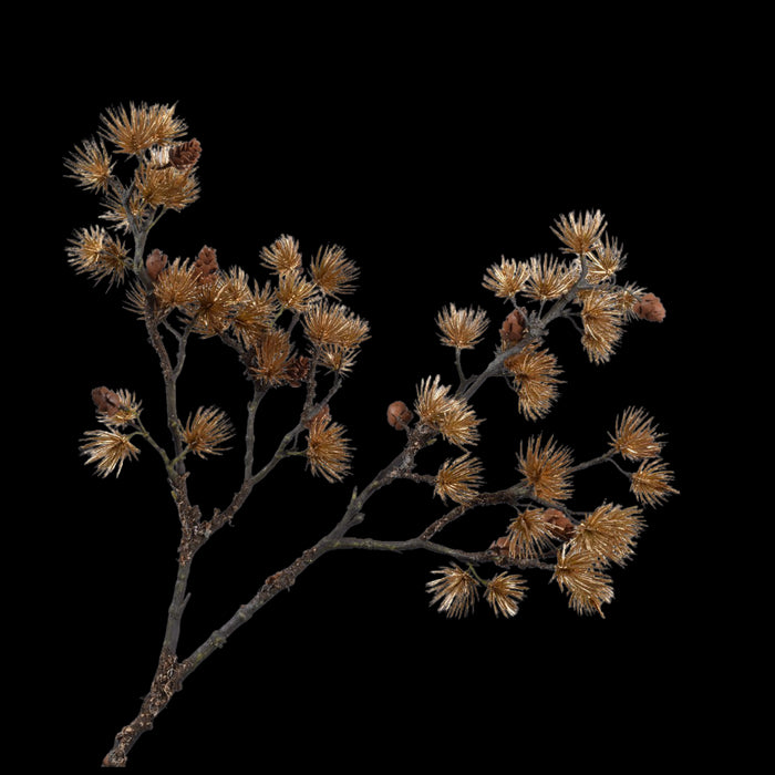 a9ab50f9-4dc7-4d5a-9a60-fa863c57c97f-vrijstaandbeeld.jpg (5803585) 