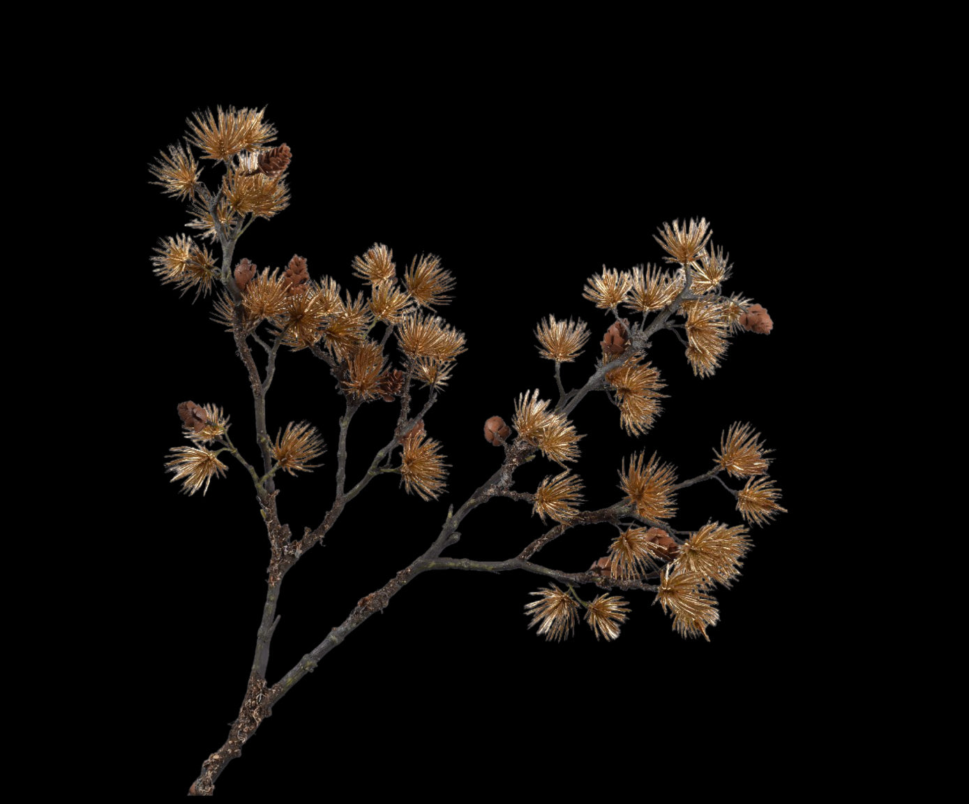 a9ab50f9-4dc7-4d5a-9a60-fa863c57c97f-vrijstaandbeeld.jpg (5803585) 