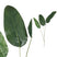 PTMD Leaves Plant Paradijsvogel Blad Kunsttak - 97x38x138 cm - Groen