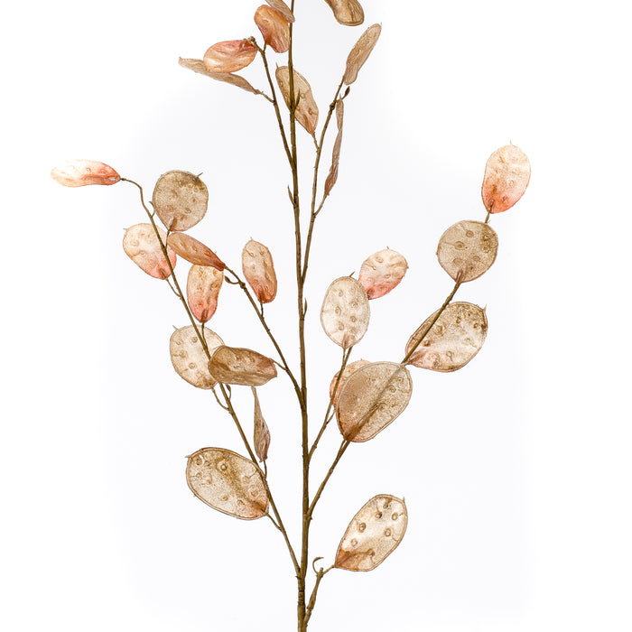 Cozy Ibiza - Kunsttak Judaspenning per 2 stuks