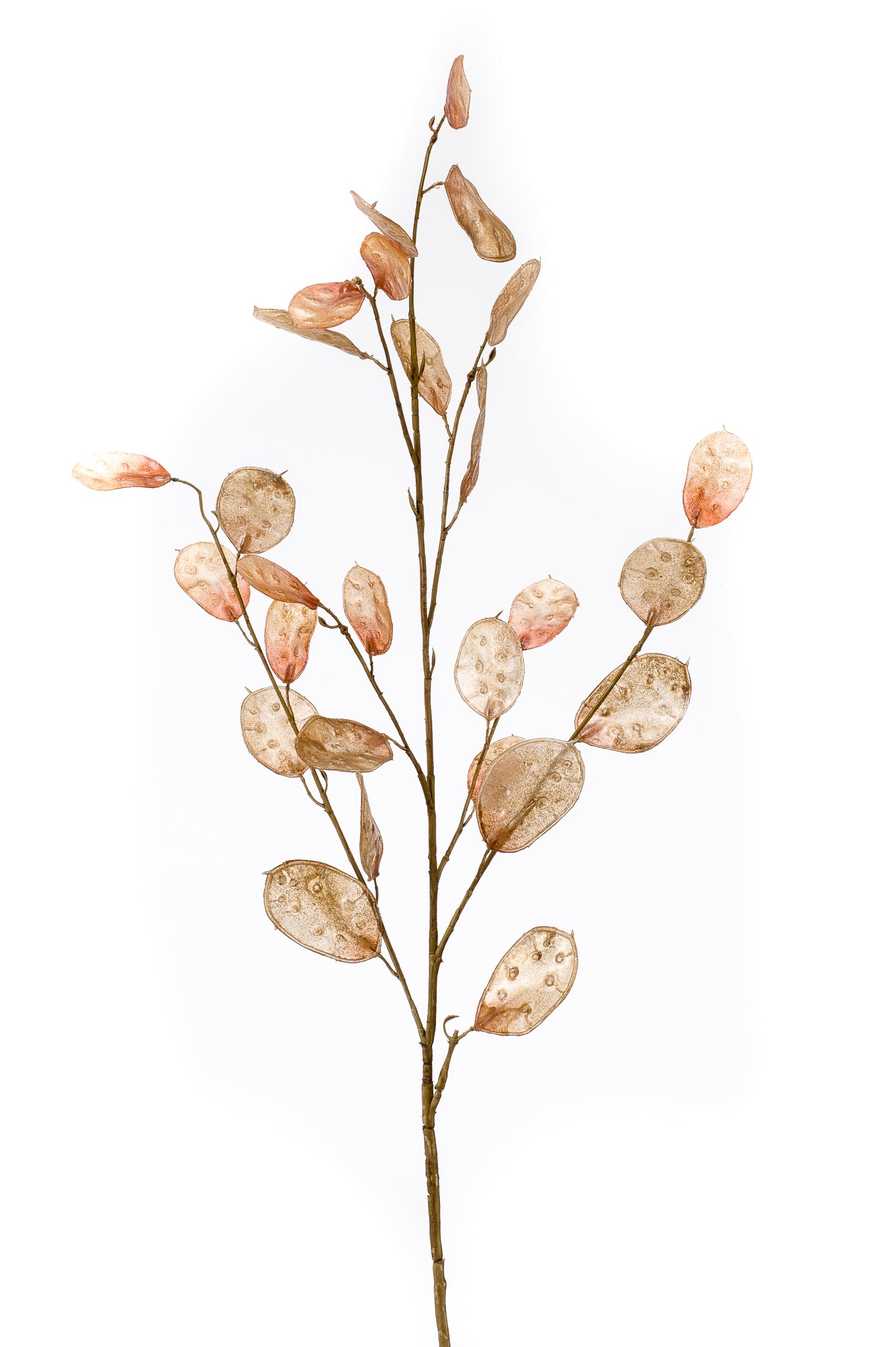 Cozy Ibiza - Kunsttak Judaspenning per 2 stuks