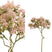 PTMD Vetplant Kunsttak - 18 x 21 x 43 cm - Roze