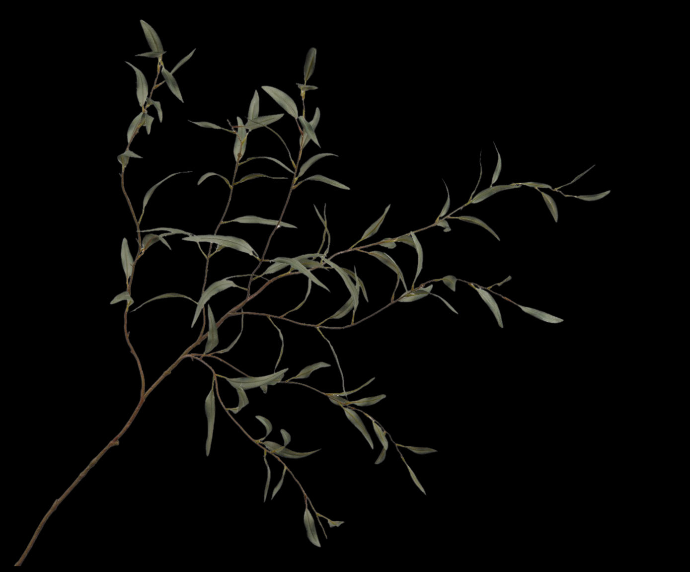 4cdc385a-a412-4035-91e3-e4b22eab3562-vrijstaandbeeld.jpg (5803950) 