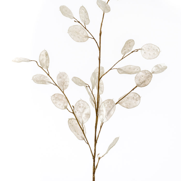 Cozy Ibiza - Kunsttak Judaspenning per 2 stuks