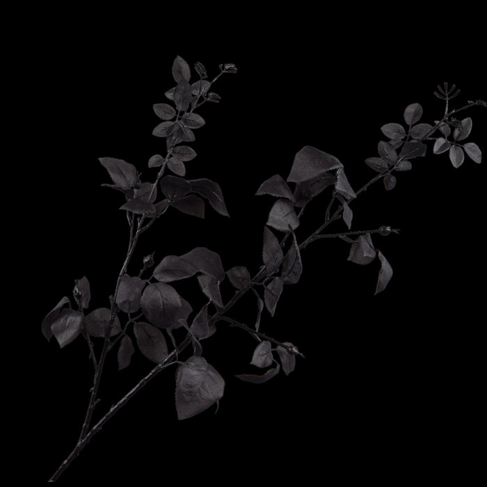 74cfc4be-7a47-44d9-8f1f-a50f123ef971-vrijstaandbeeld.jpg (5804199) 