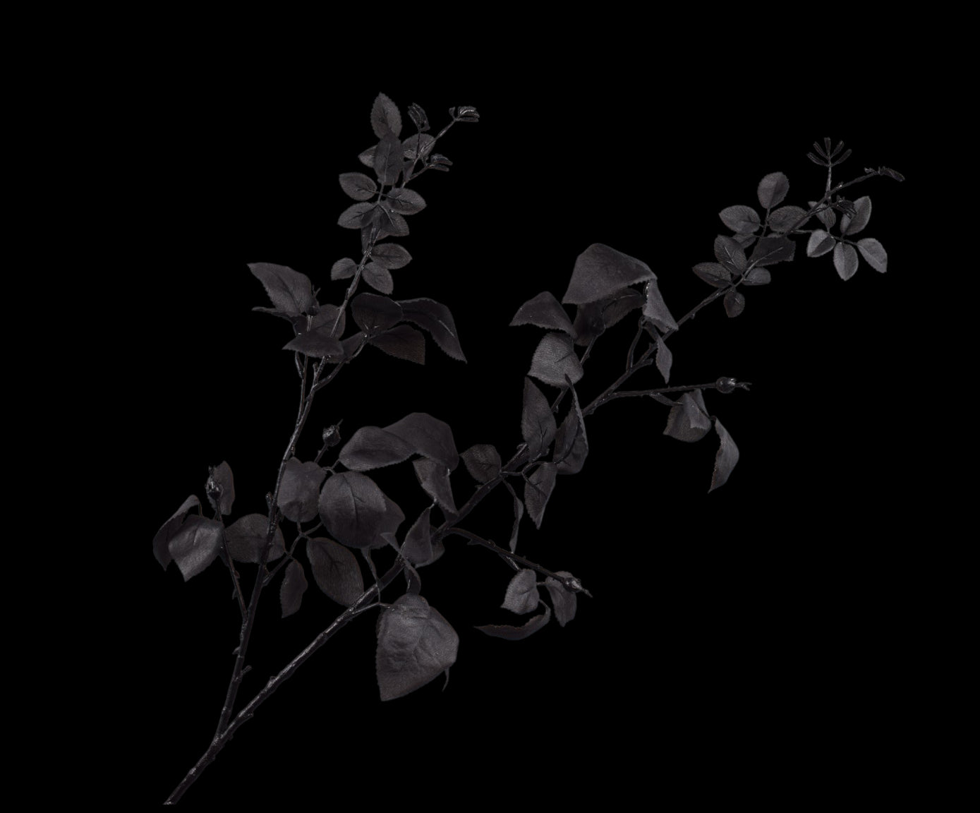 74cfc4be-7a47-44d9-8f1f-a50f123ef971-vrijstaandbeeld.jpg (5804199) 